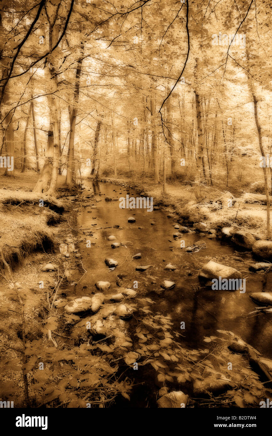 Woodland Stream monochome: A rocky stream flowing through a canopy of leafy trees. Moesgaard near Arhus Jutland Denmark Stock Photo