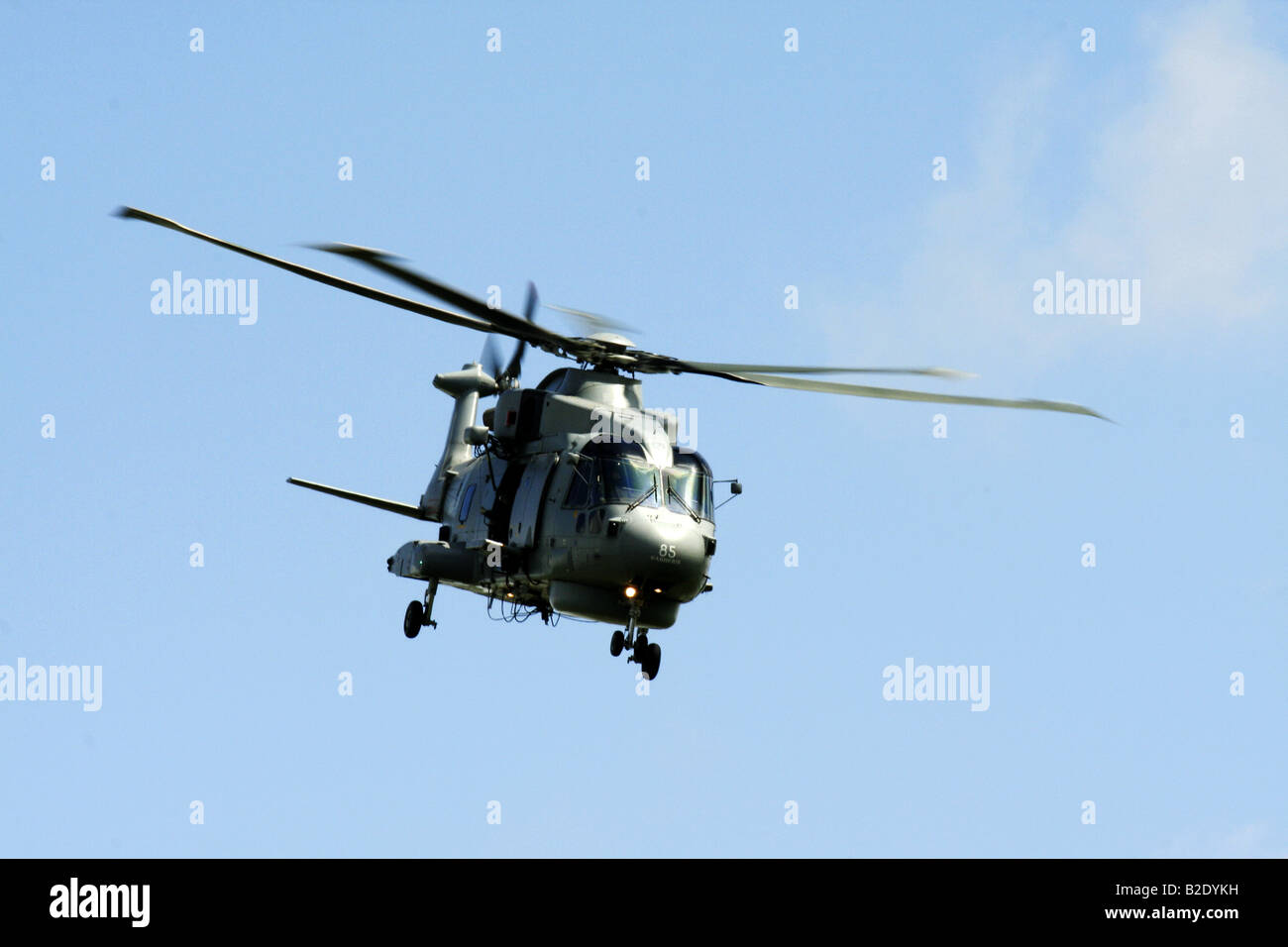 The Merlin (Bird of prey)  The Merlin is armed with two general purpose machine guns converted for the air role. Stock Photo