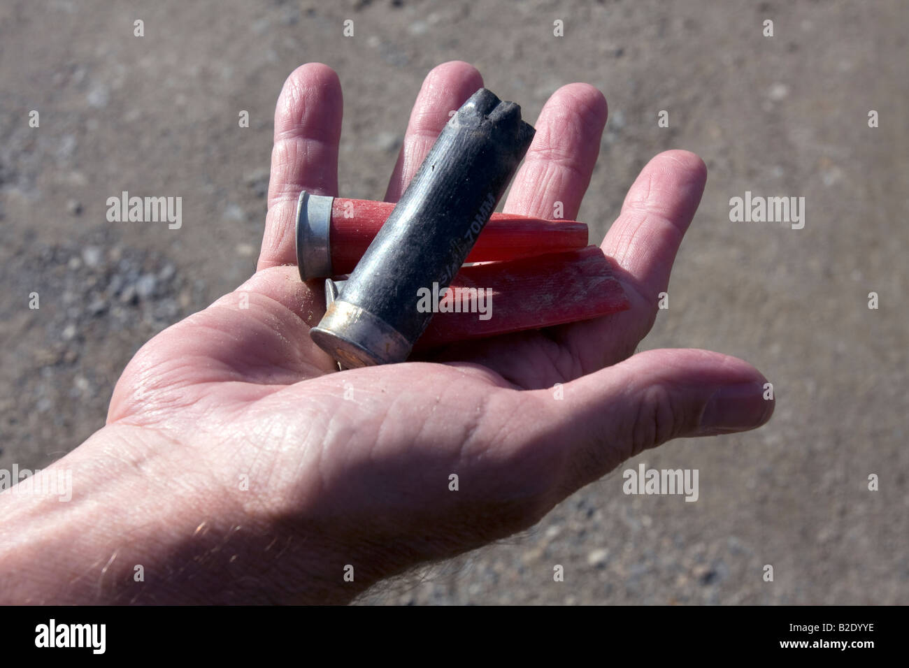 Handful of shotgun shells. Stock Photo