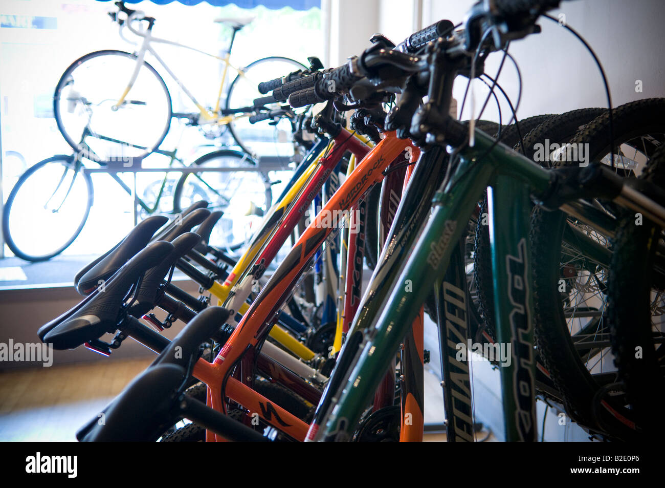Mountain and road bikes on display at a bicycle shop Stock Photo Alamy