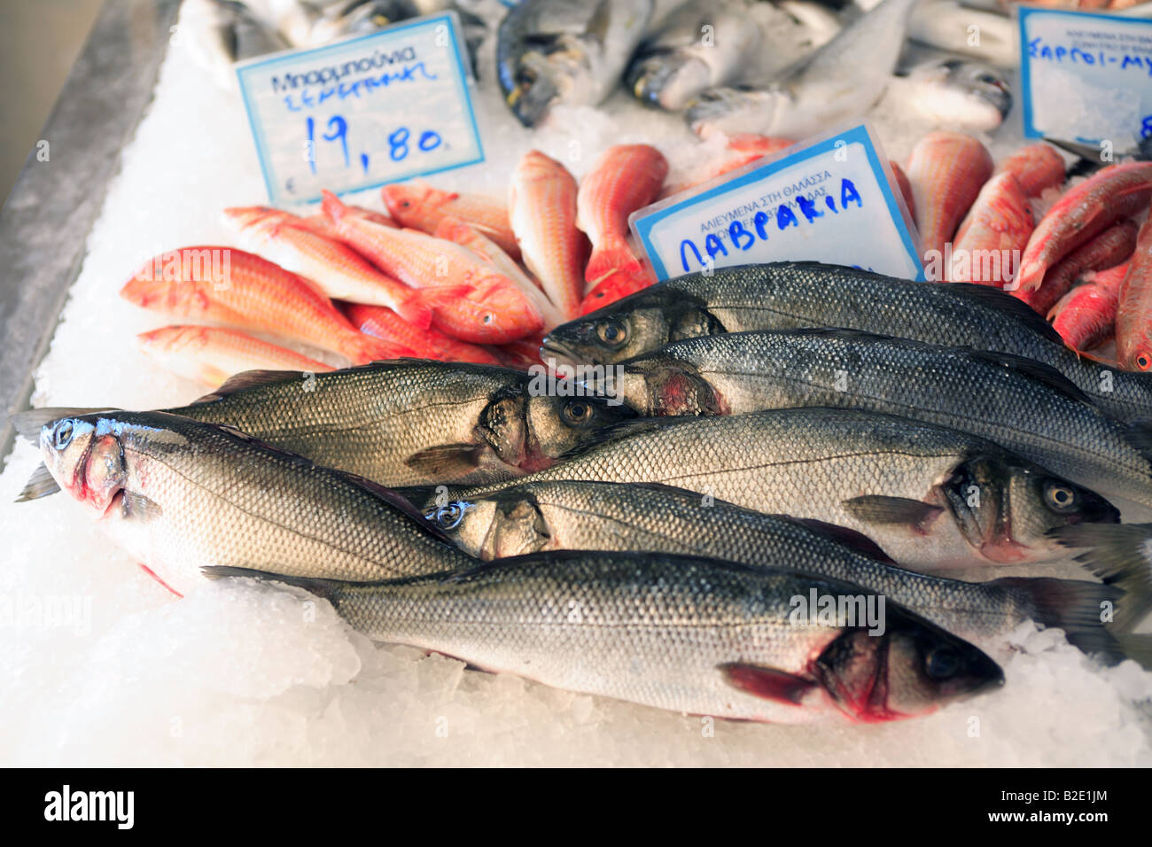 greece fresh fish on display in a fishmongers Stock Photo