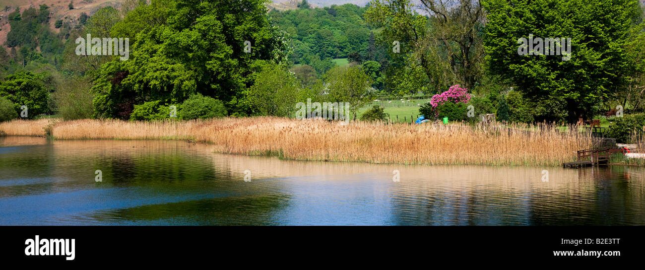 Elter Water The Spring Colours Around The Lakes Shoreline, 'The Lake District' Cumbria England UK Stock Photo