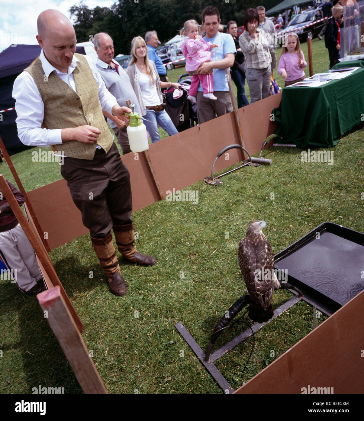 A bird of prey getting cooled with a squirt of water. Biggin Hill Festival, Bromley, Kent, England, UK. Stock Photo
