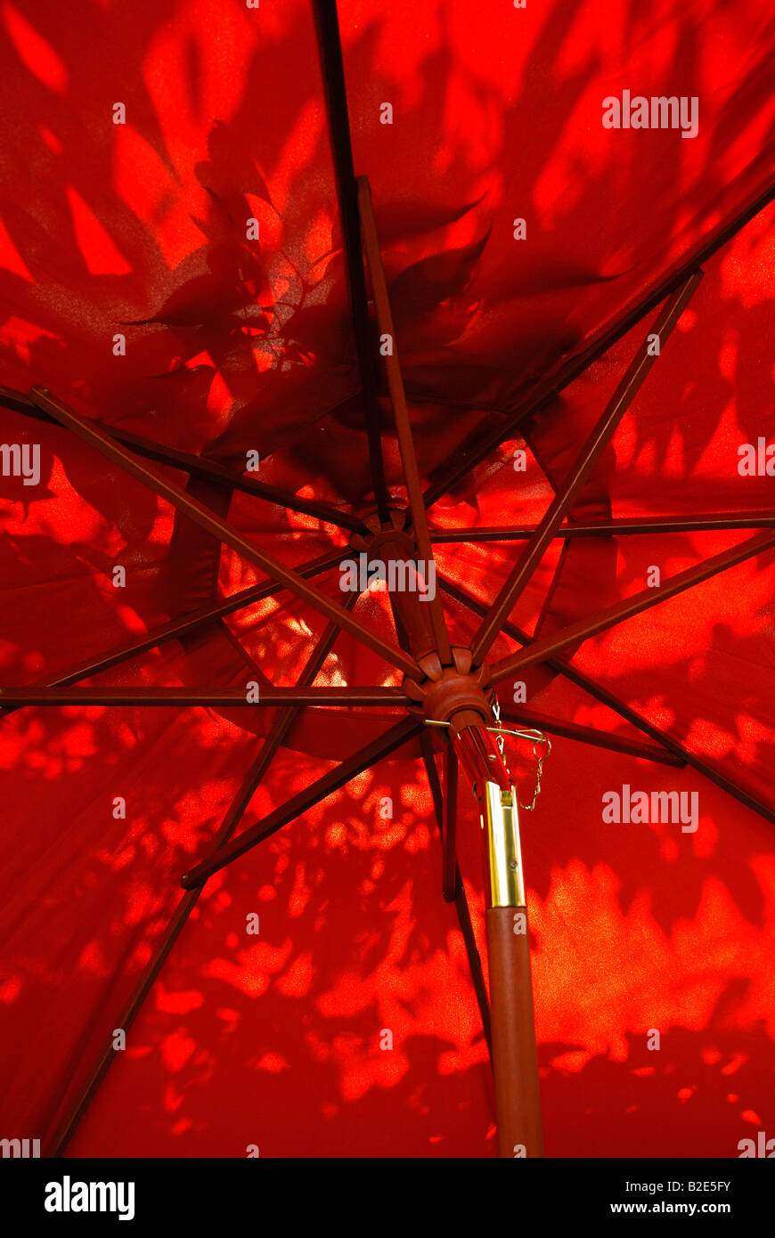 red garden parasol with leaf patterns and sunlight. Stock Photo