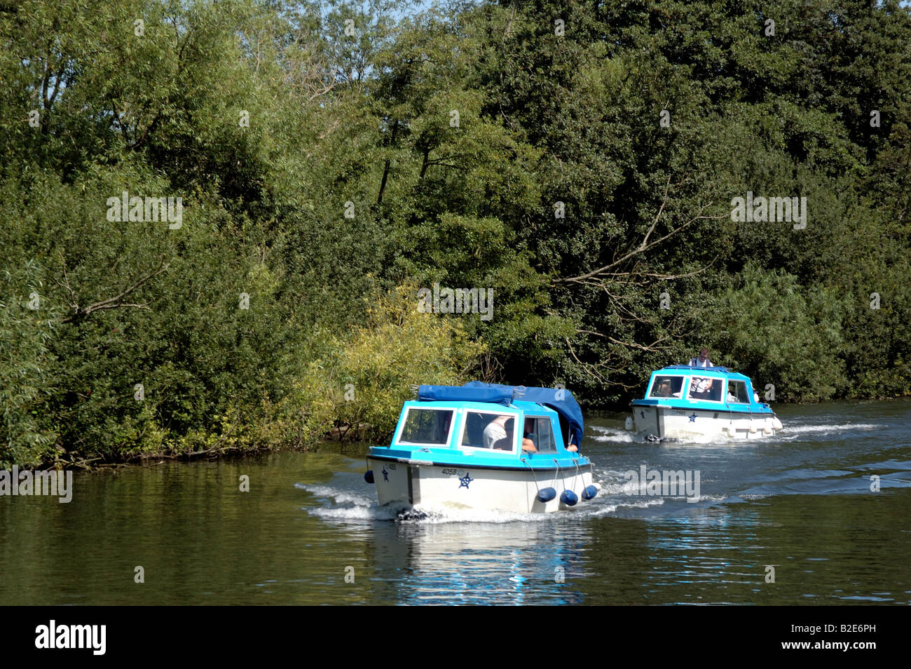 Broads day cruisers on the River Bure upstream from Wroxham, Broads National Park Stock Photo