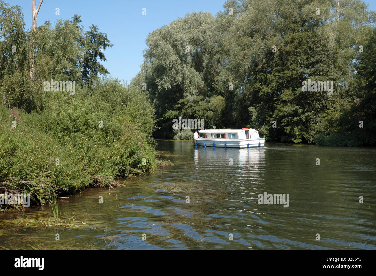 Broads cruiser on the River Bure upstream from Wroxham, Broads National Park Stock Photo