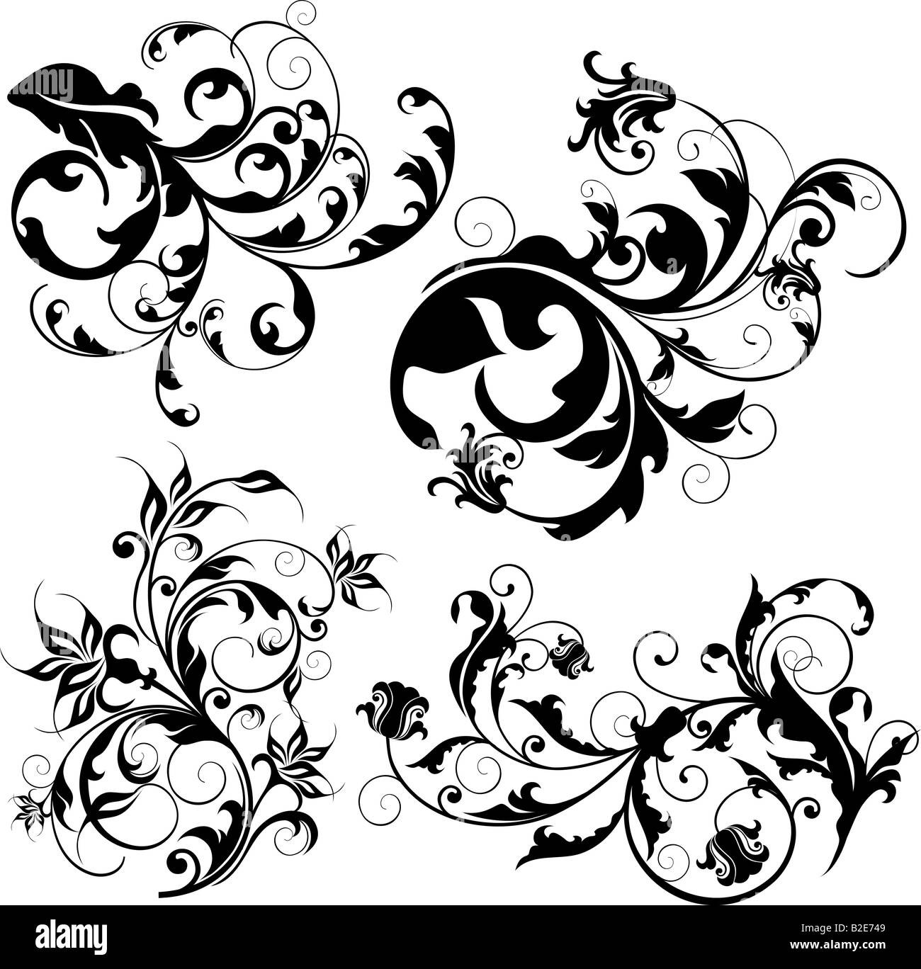 illustration drawing of floral design elements Stock Photo Alamy