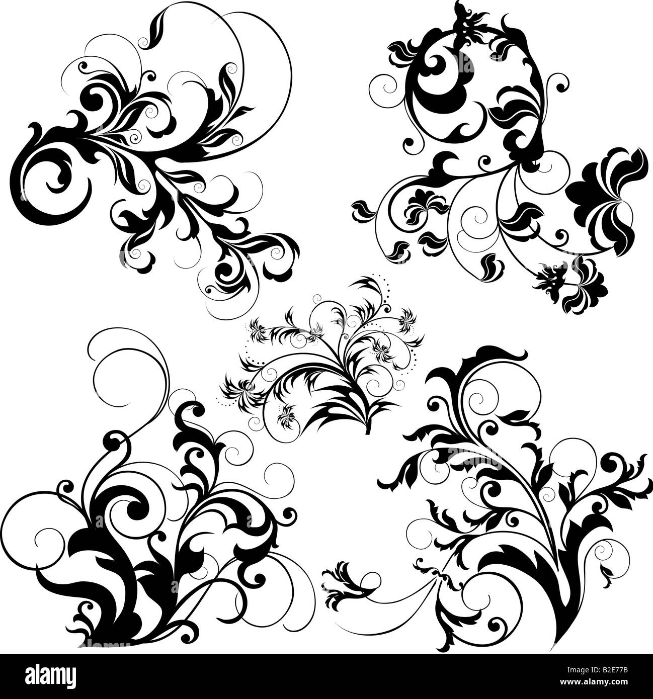 illustration drawing of floral design elements Stock Photo Alamy