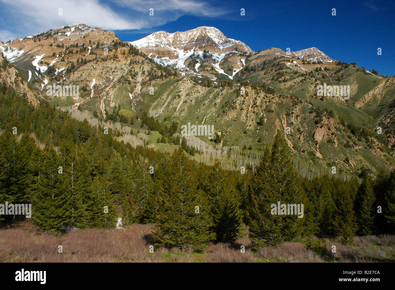 mountain snow on south willow peak in tooele utah blue sky green Stock