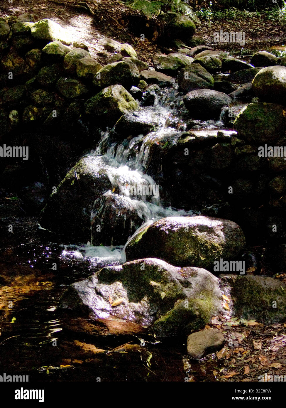 Stream flowing through rocks in forest, Garajonay National Park, La Gomera, Canary Islands, Spain Stock Photo