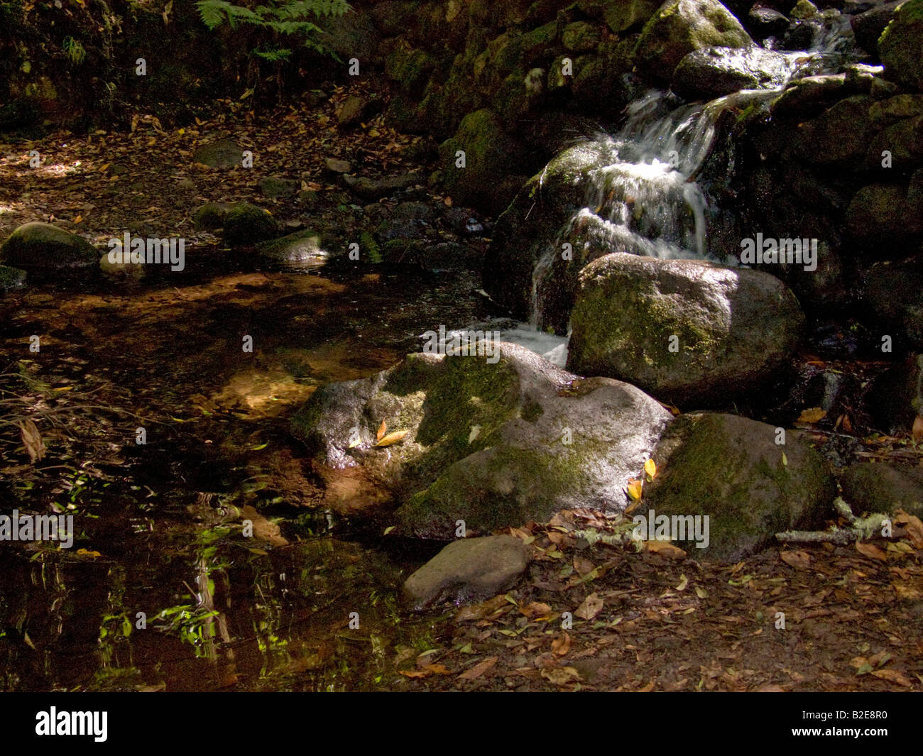 Stream flowing into rocks hi-res stock photography and images - Alamy