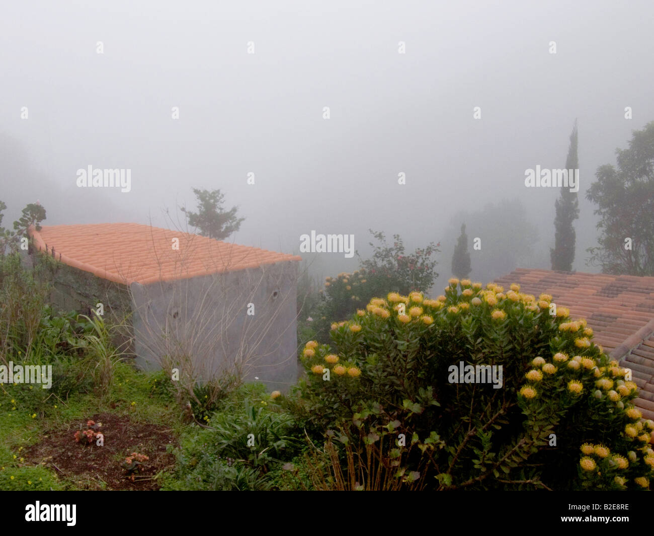 Houses on mountain surrounded by fog, Garajonay National Park, La Gomera, Canary Islands, Spain Stock Photo