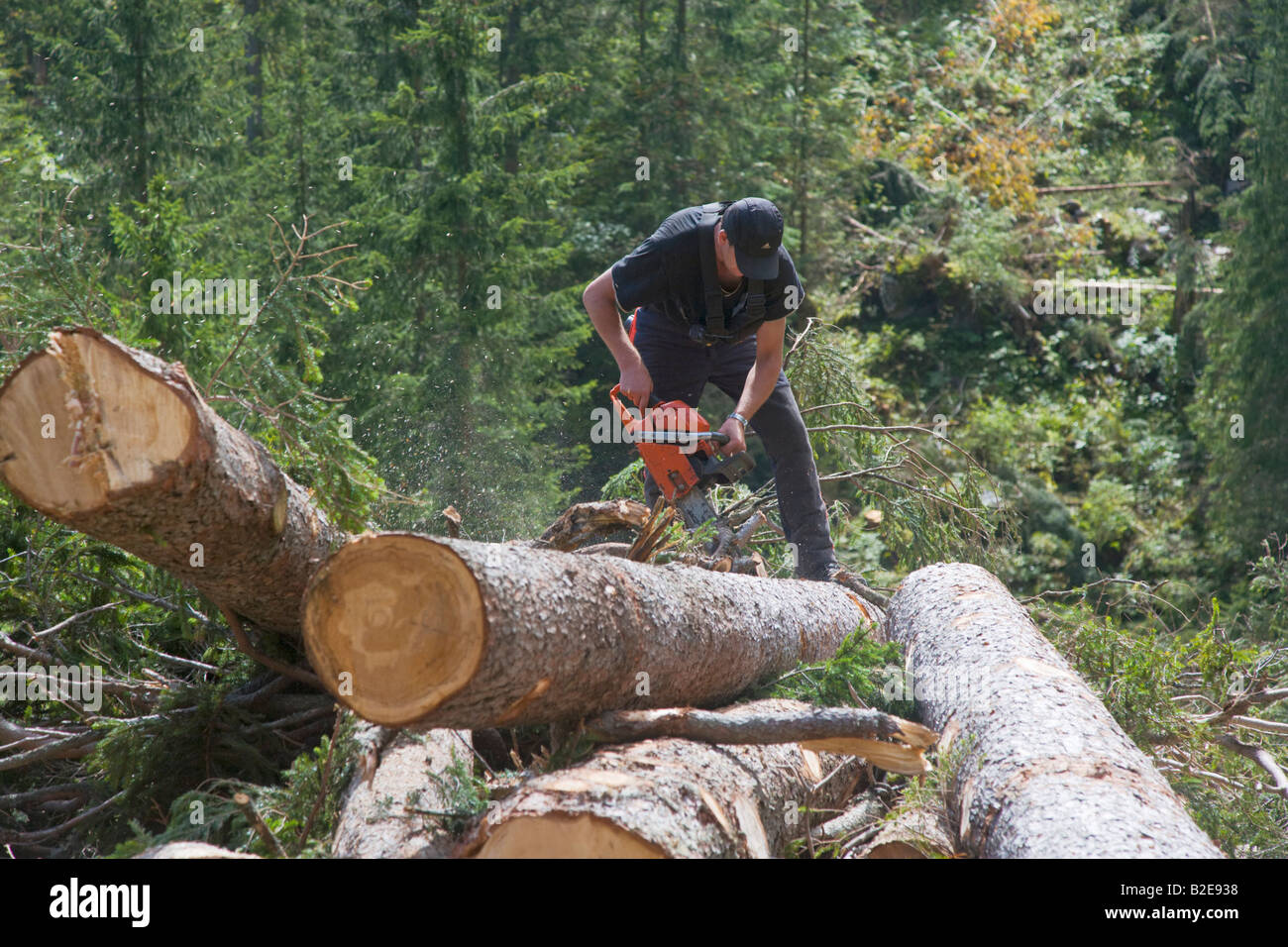 Electric saw for cutting logs deals