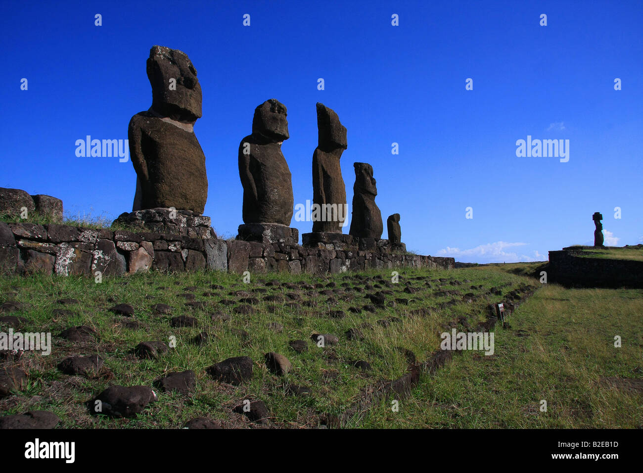 Statues in row, Moai Statue, Easter Island, Chile Stock Photo Alamy