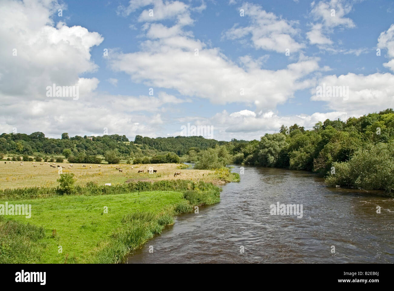River Flowing Through Forest River Boyne Boyne Valley County Stock Photo Alamy