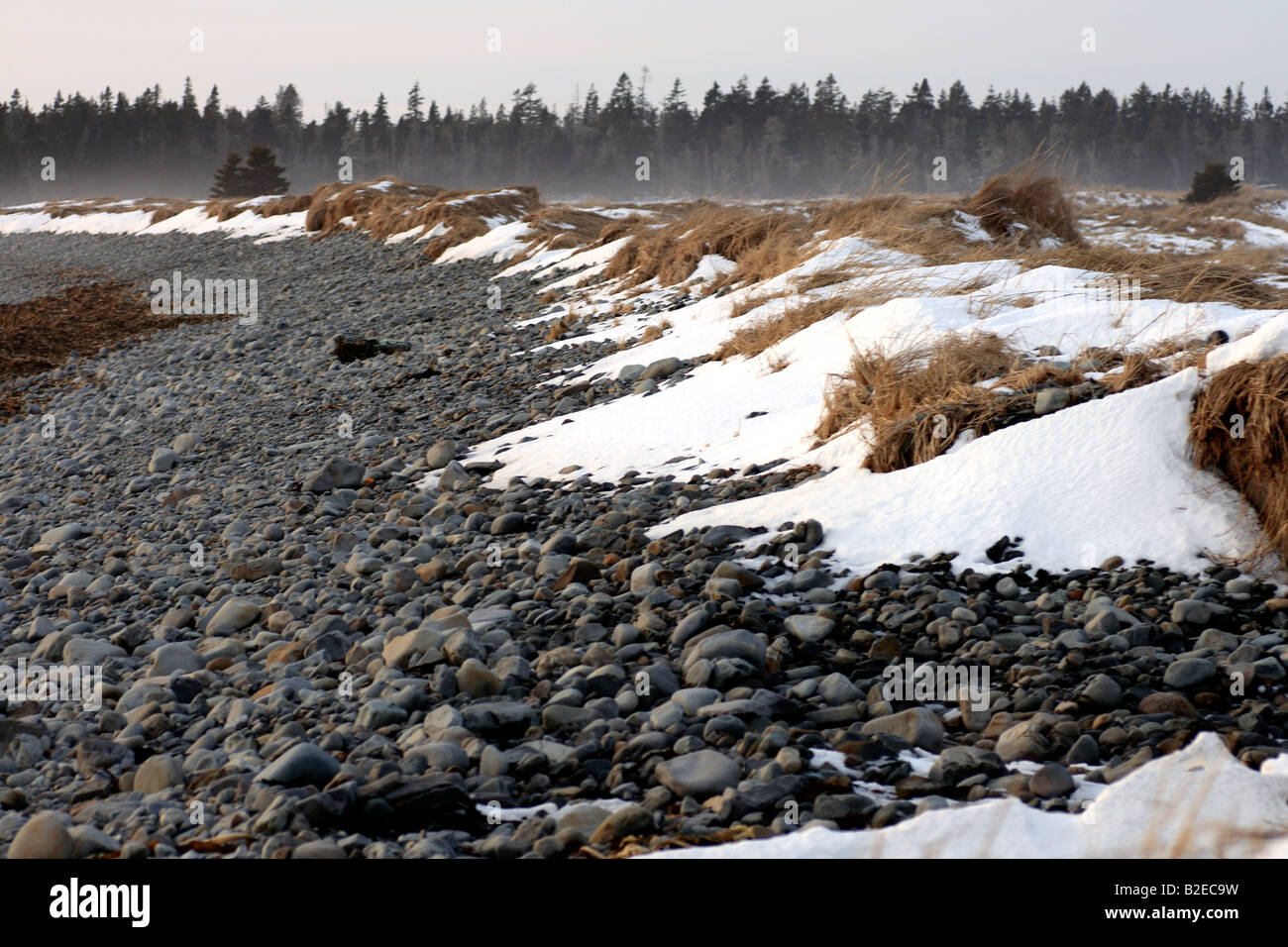 Cherry beach hires stock photography and images Alamy