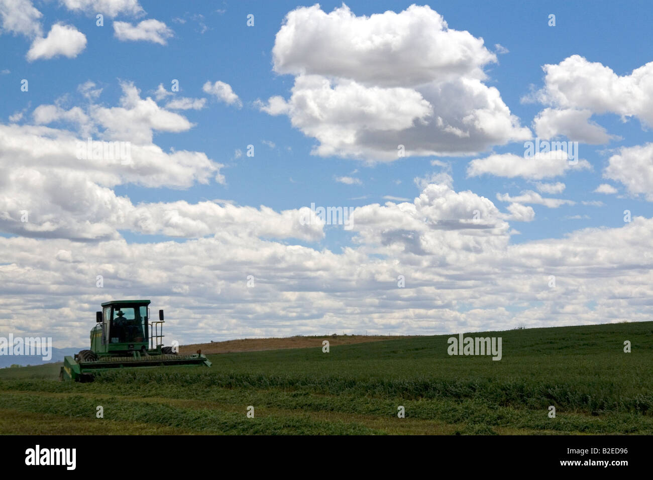 Swather harvesting alfalfa hay in Canyon County Idaho Stock Photo