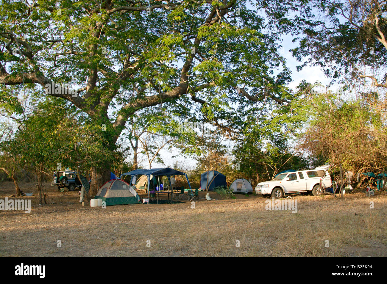 A camp site under a large shady tree in Zinave Stock Photo