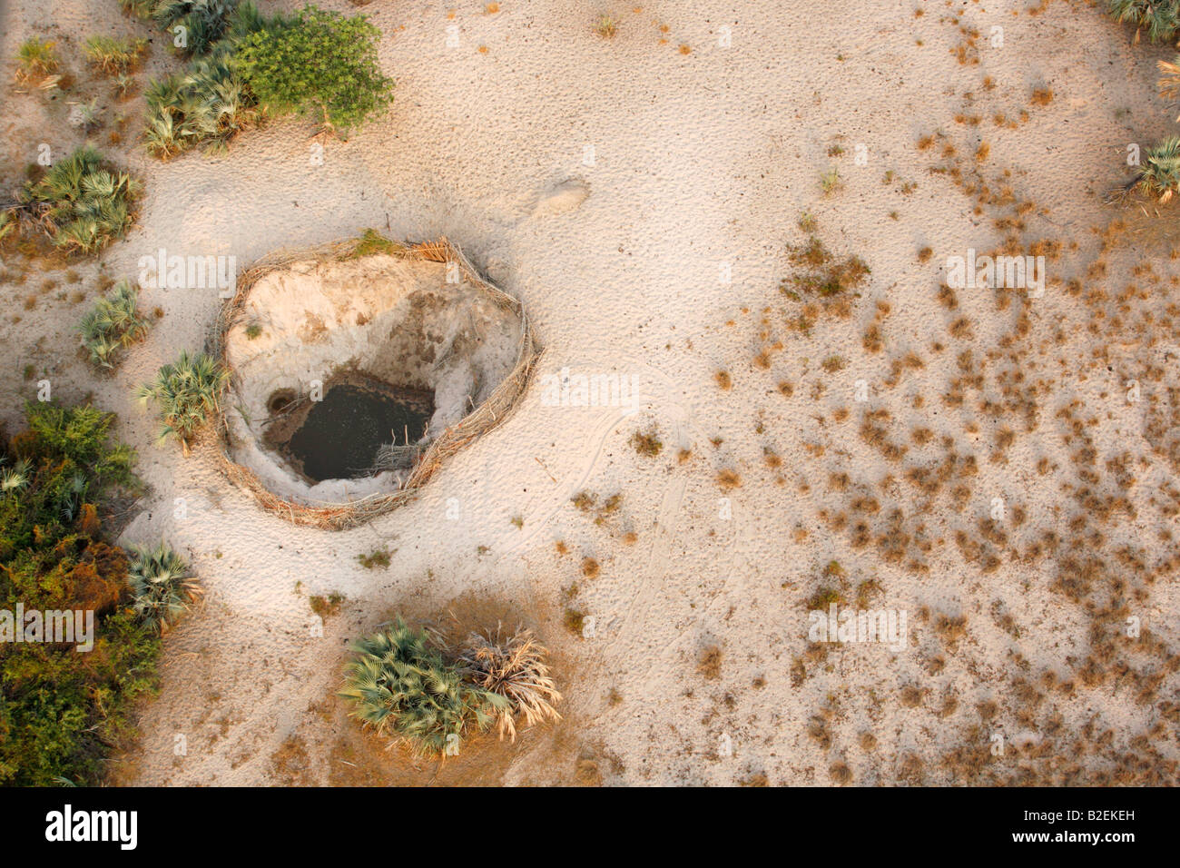 Aerial view of an artesian well dug in the ground by herdsmen in the Banhine National Park. The well is protected by a fence. Stock Photo