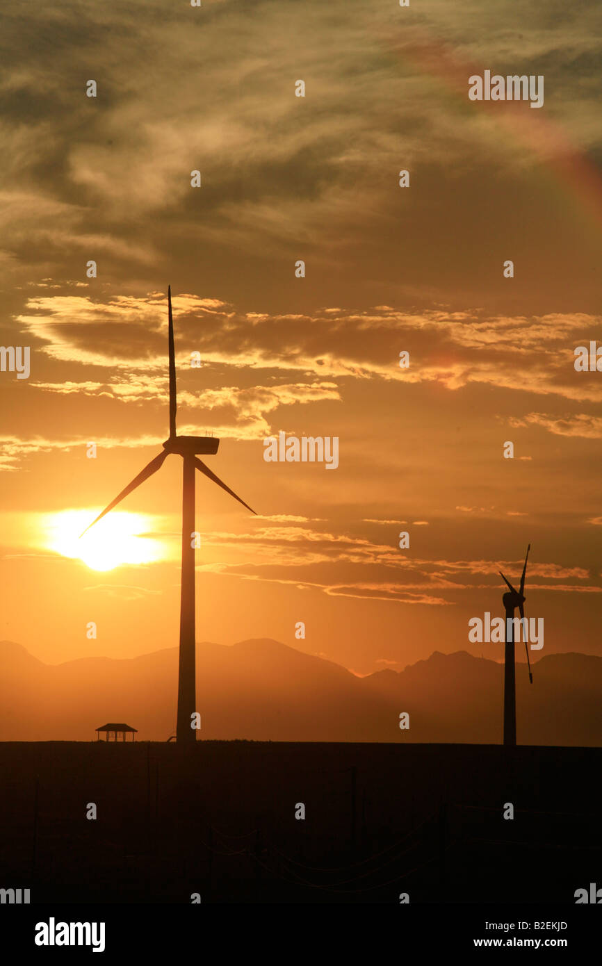 Wind Turbines silhouetted at sunset at Klipheuvel wind farm. Stock Photo