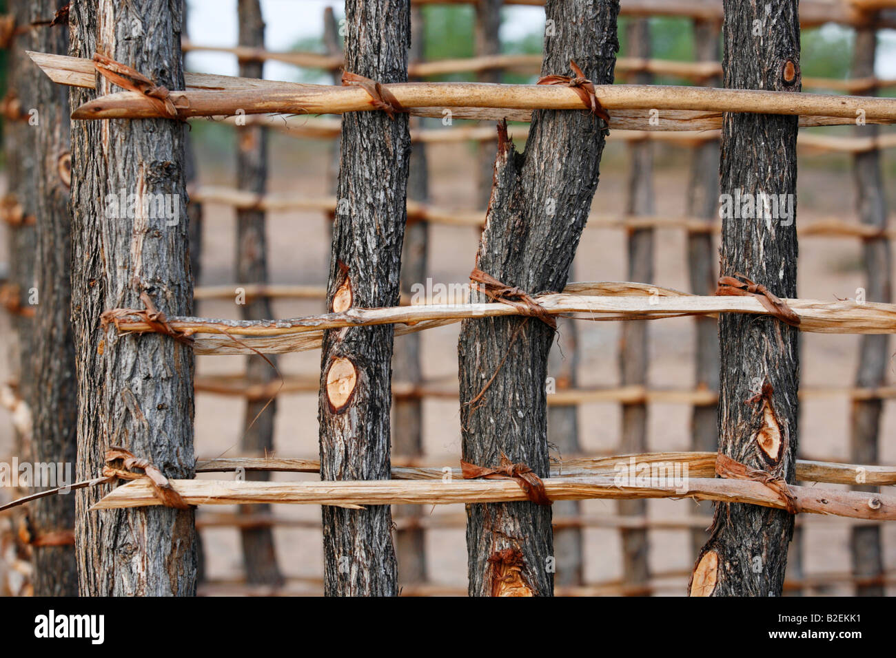 The start of a wall of a hut during construction made from mopane poles and cross sticks tied together with strips of bark Stock Photo