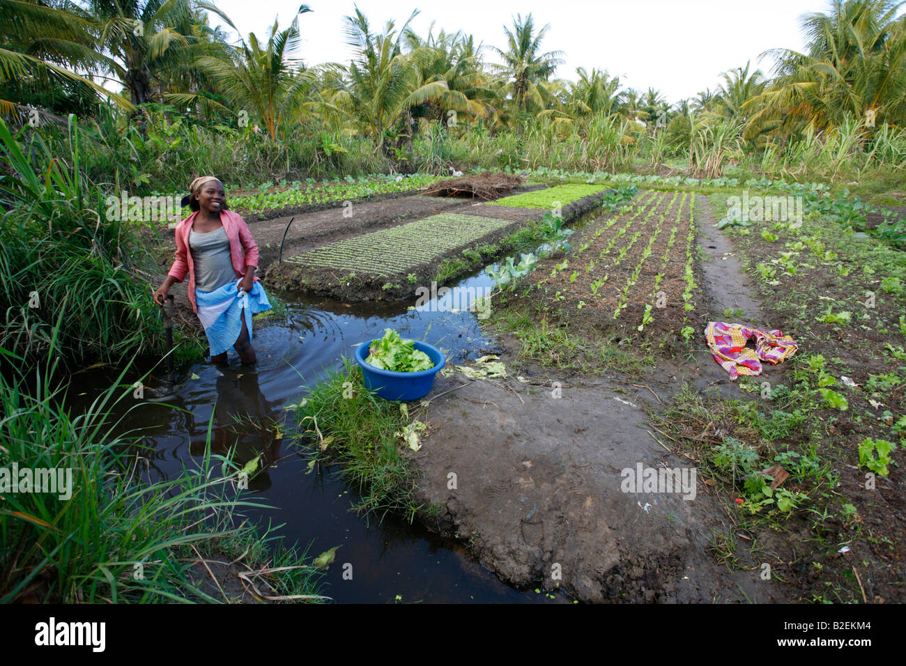 A woman proudly tending to her vegetable garden with furrow irrigation on the outskirts of Inhambane Stock Photo