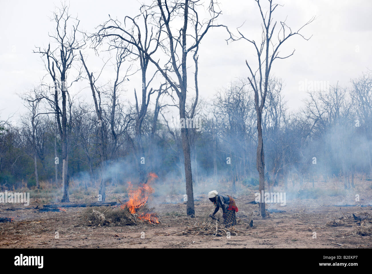 A woman prepares a field using traditional the slash and burn agricultural method Stock Photo