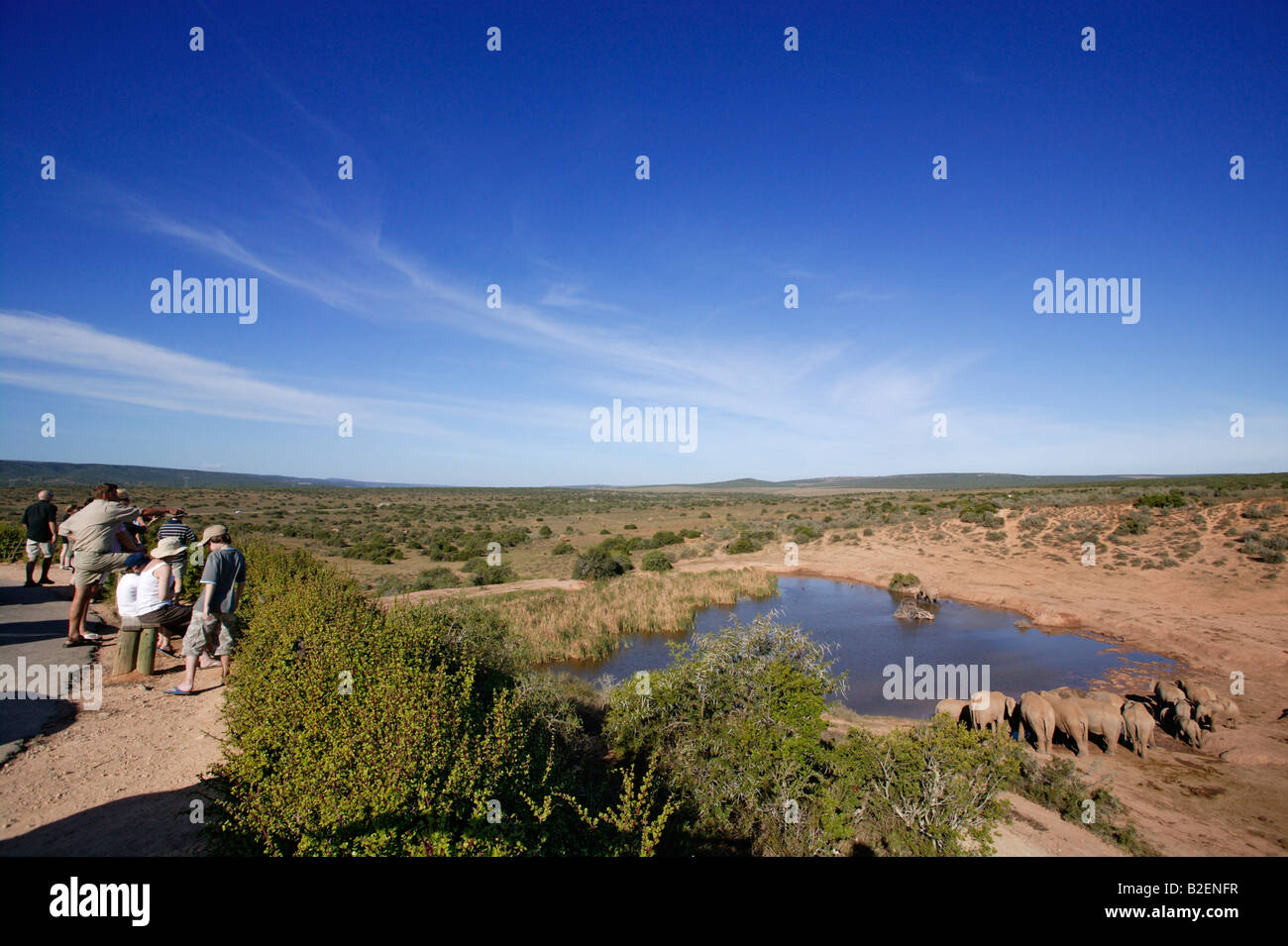 A group of tourists view a herd of elephants drinking at a waterhole from a lookout Stock Photo