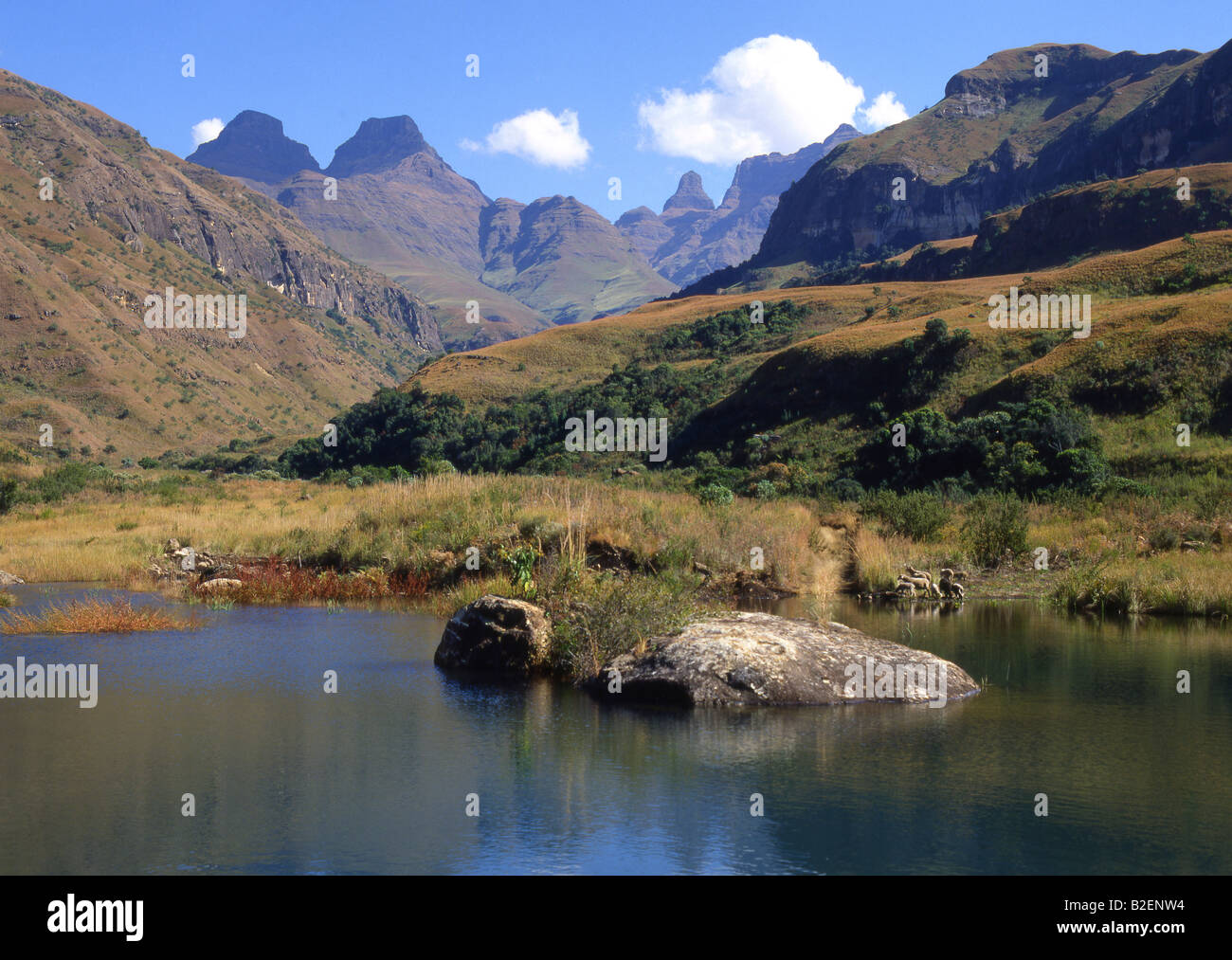 Cathedral peak from south hi-res stock photography and images - Alamy