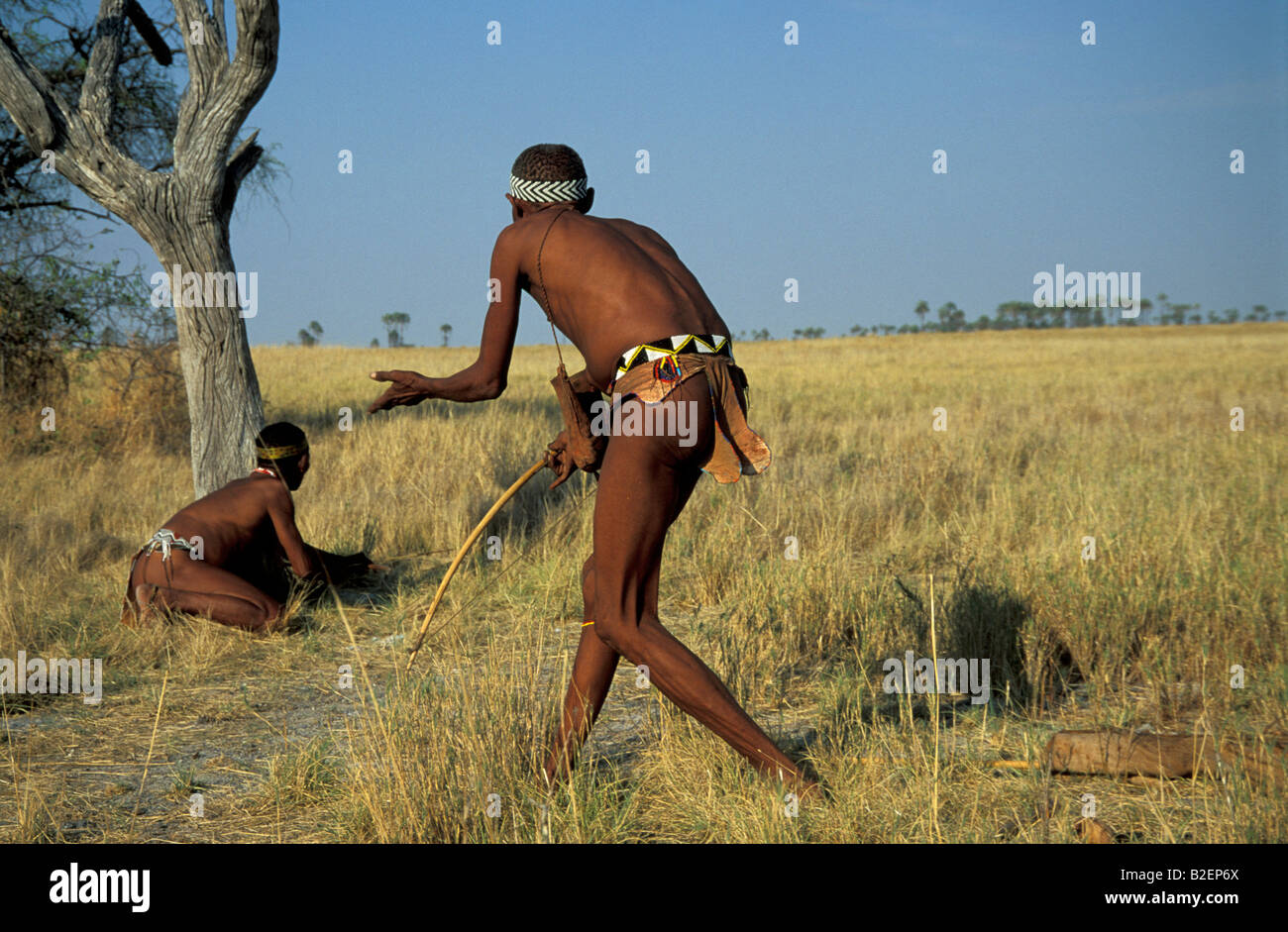Pair of bushmen stalking with bow and arrow Stock Photo