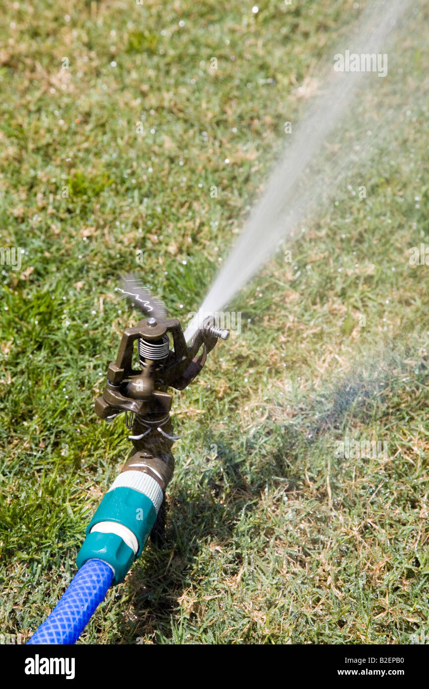 Hosepipe spray watering lawn Stock Photo Alamy