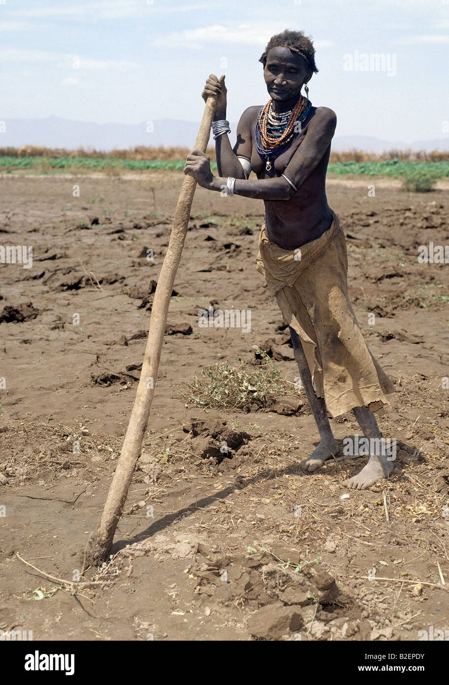 An old Dassanech woman prepares her fields beside the Omo River with a digging stick in readiness to plant sorghum. Stock Photo