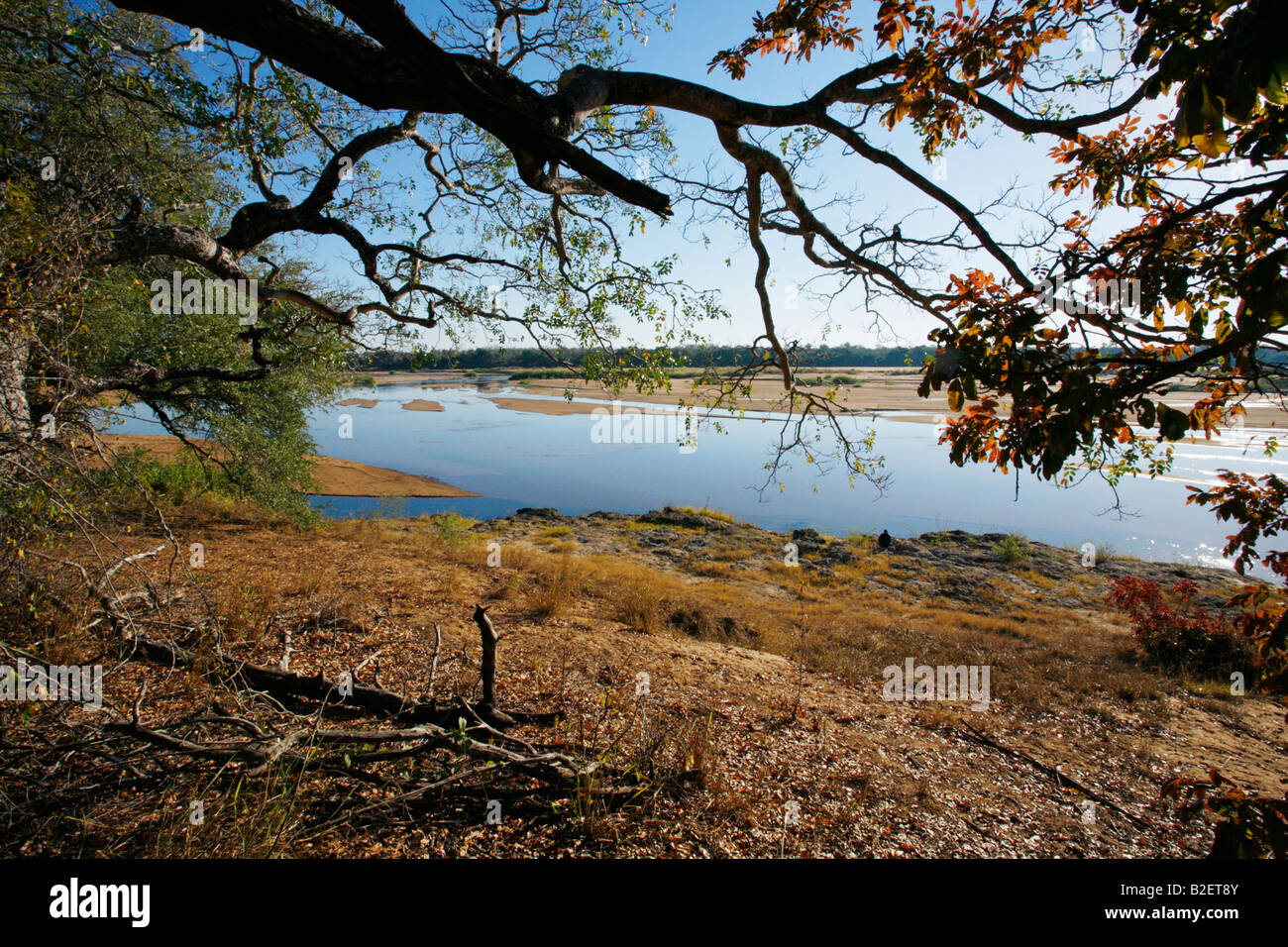 The Save River in central Mozambique viewed from under the trees on the bank. Stock Photo