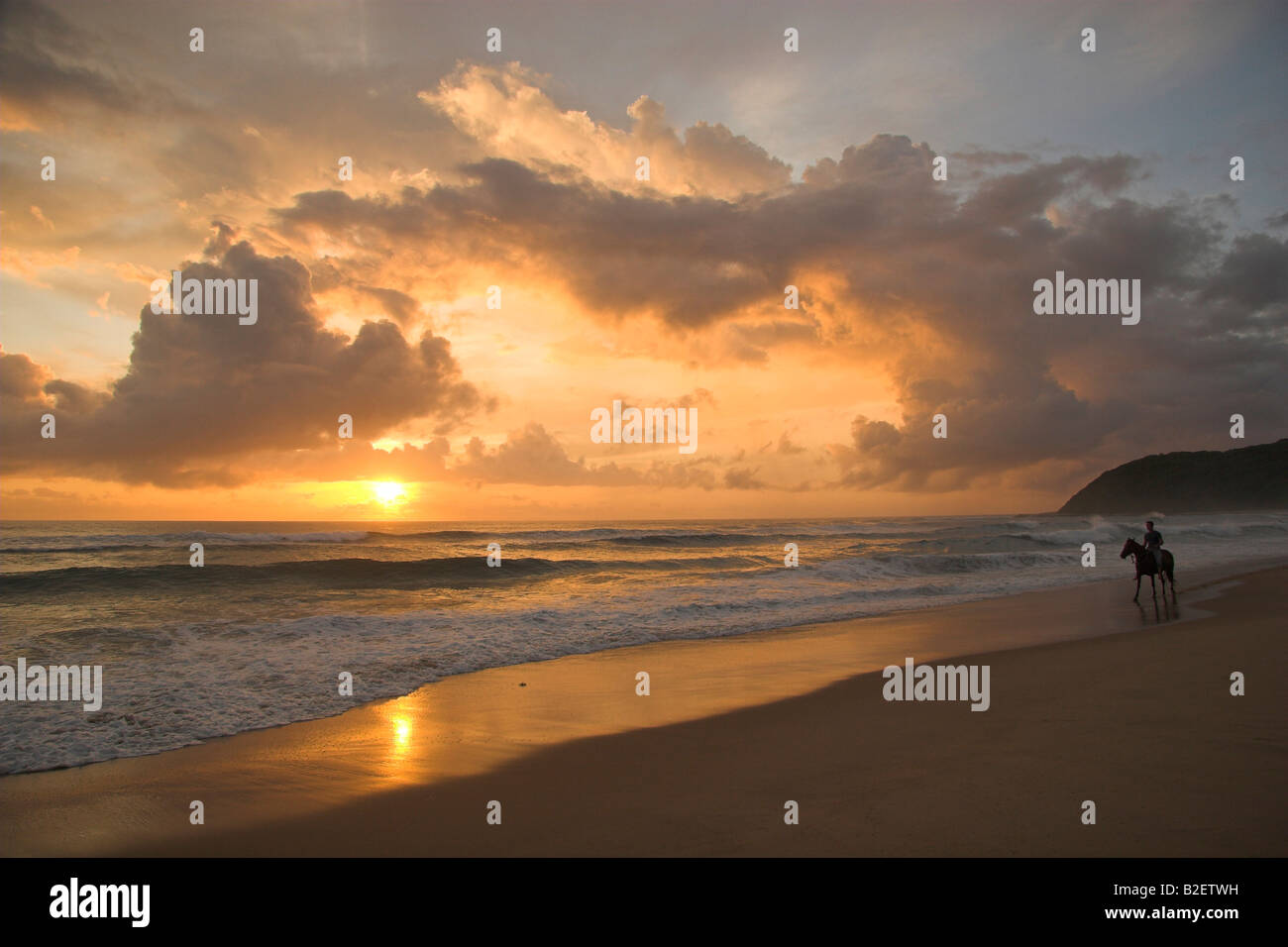 Beach sunrise with horse and rider Stock Photo - Alamy