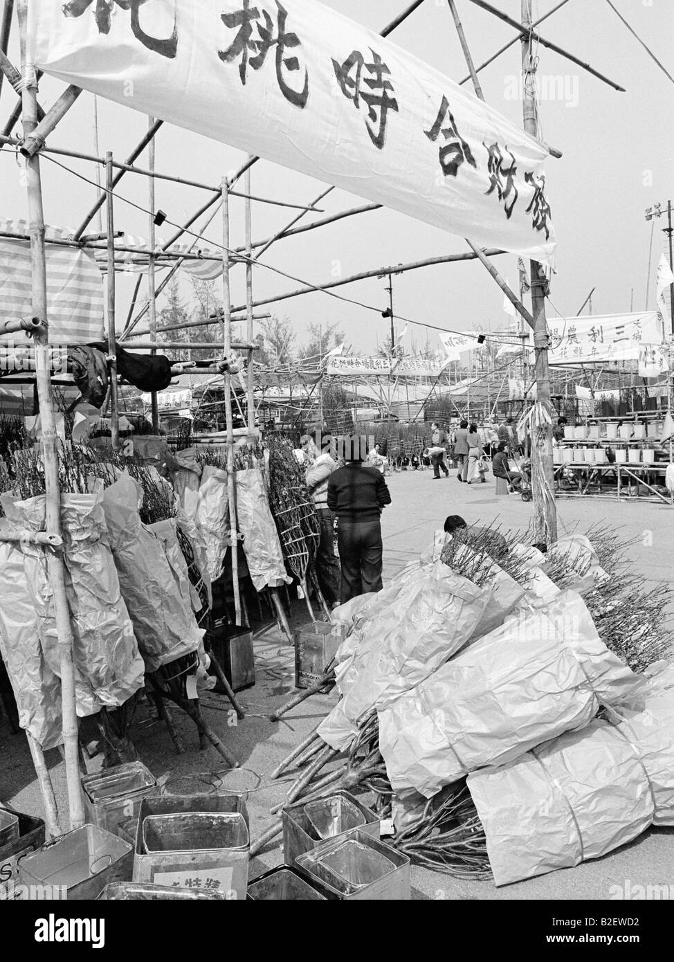 Chinese New Year market Victoria Park Hong Kong 1979 Stock Photo