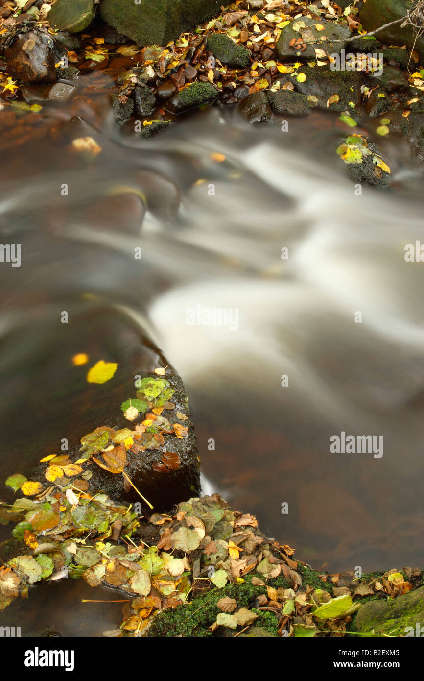 River Esk flowing over and around leaf covered boulders in North York Moors National Park Stock Photo