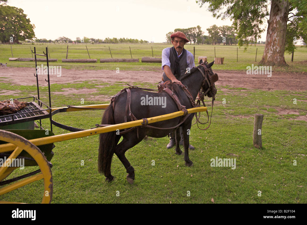 Gaucho with Horse, Buenos Aires, Argentina Stock Photo