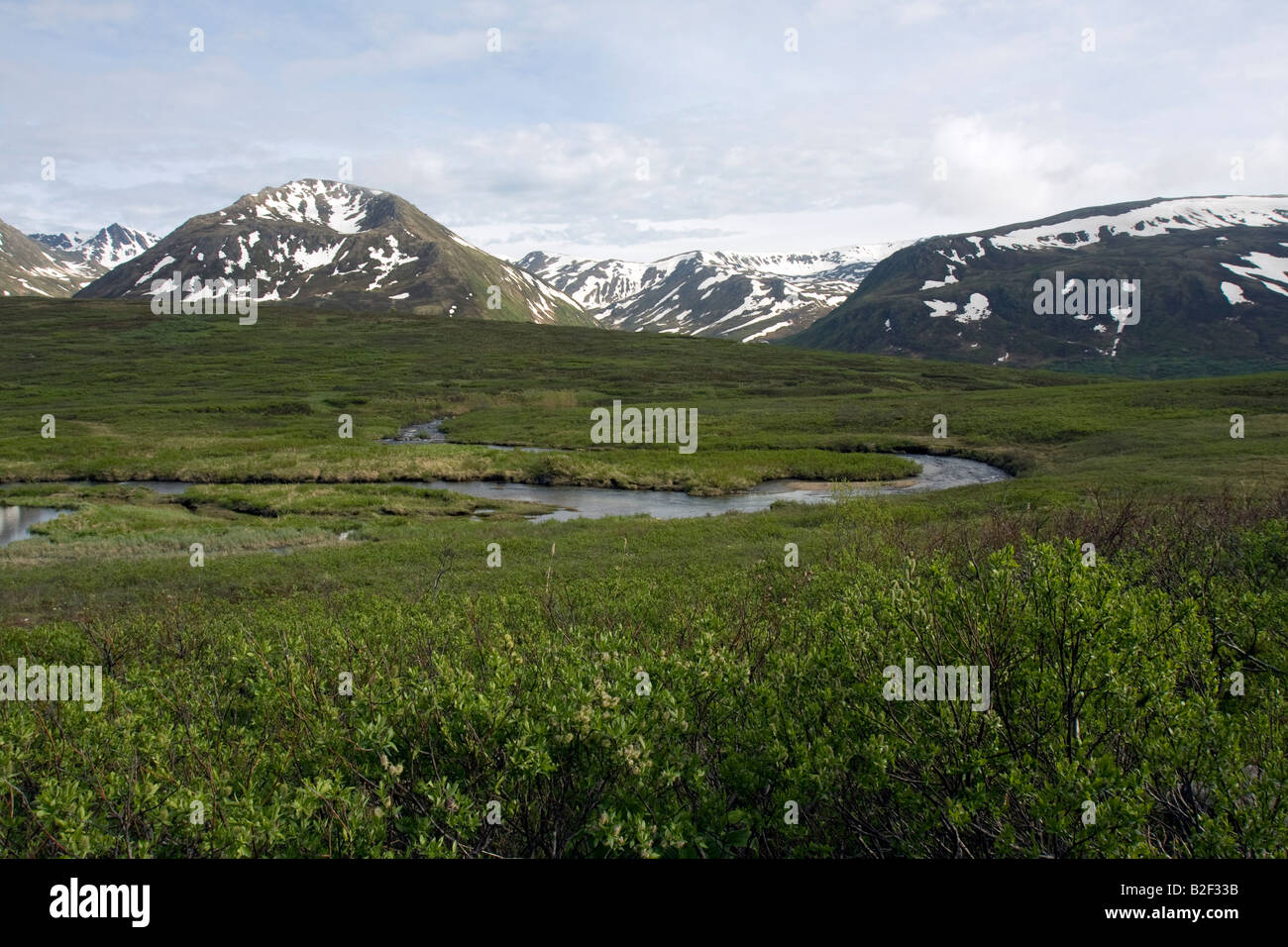 Snow covered mountain range, midsummer in Alaskan wilderness Stock Photo