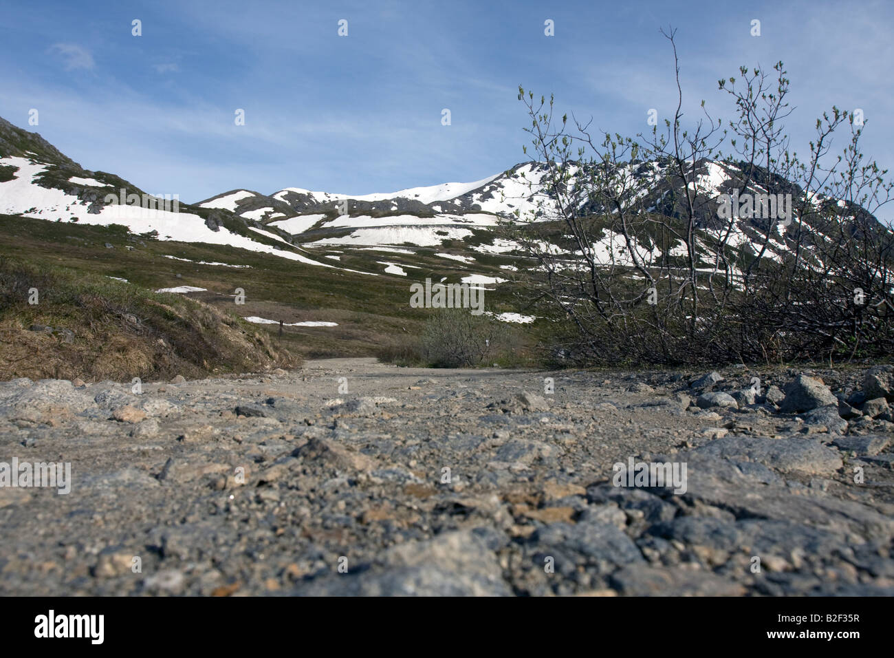 Gravel/Dirt road leading to partly snow covered mountains, Alaska. Stock Photo