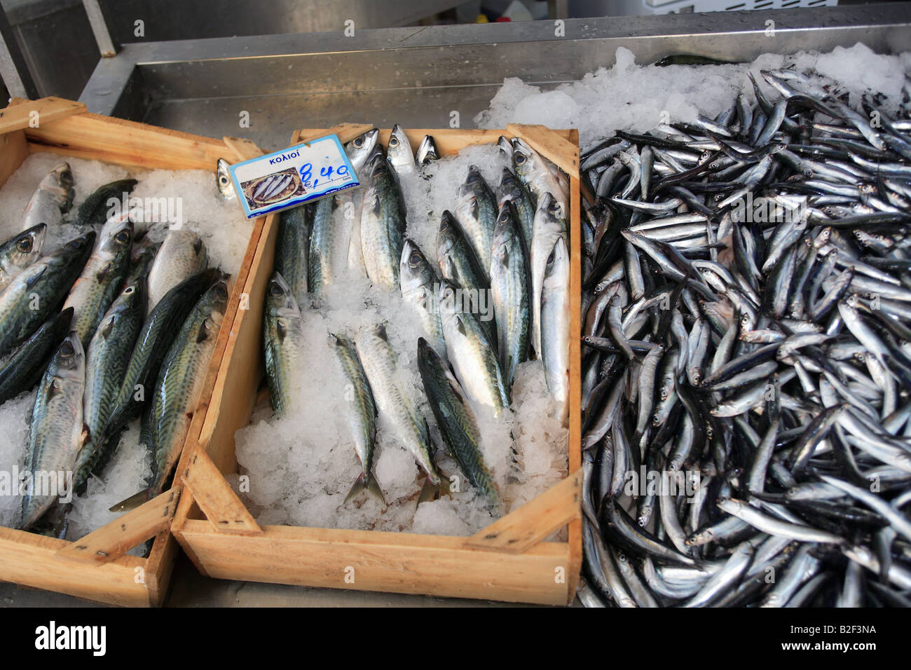 greece fresh fish on display in a fishmongers Stock Photo Alamy