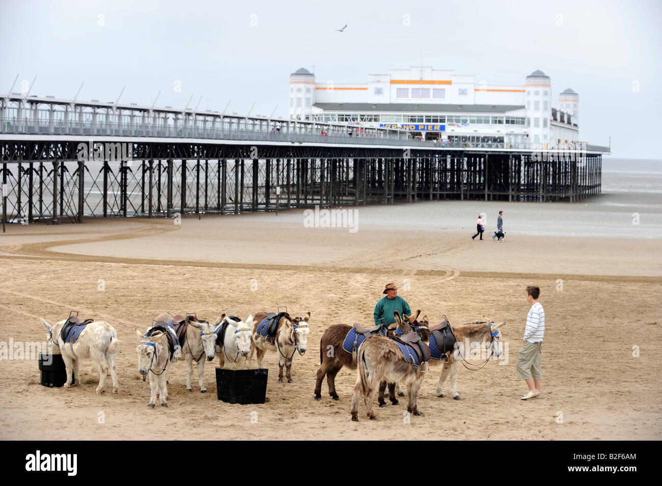 THE GRAND PIER AT WESTON SUPER MARE SOMERSET UK PICTURED IN MAY 2008 WHICH WAS DESTROYED IN A FIRE ON 28 JULY 2008 Stock Photo