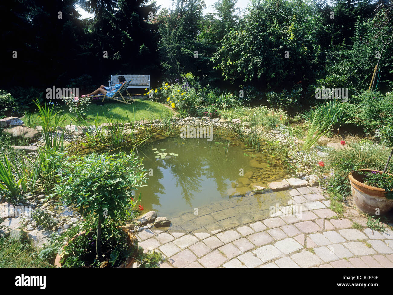garden pond Stock Photo