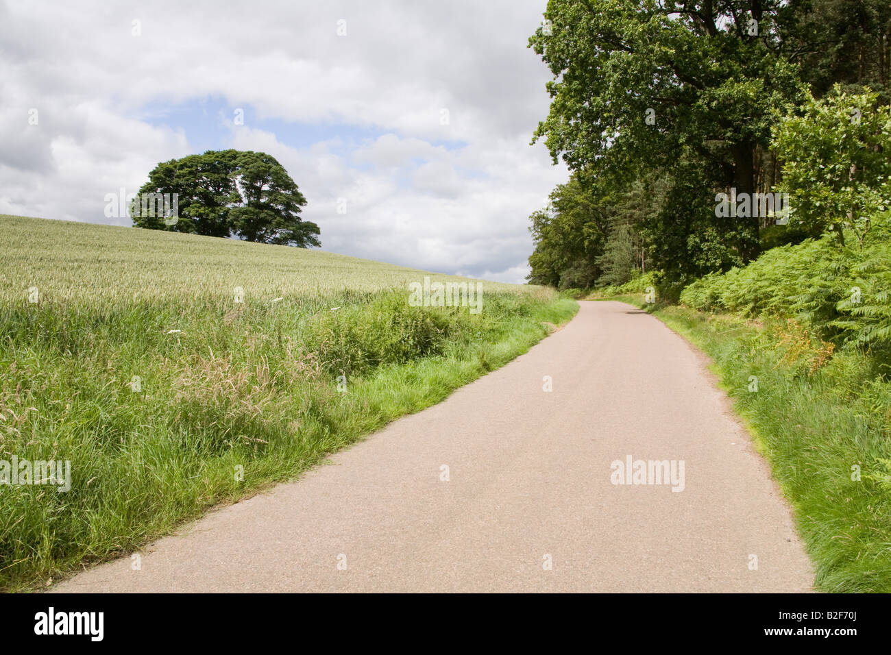 Rural Northumberland near Glanton village England Stock Photo Alamy