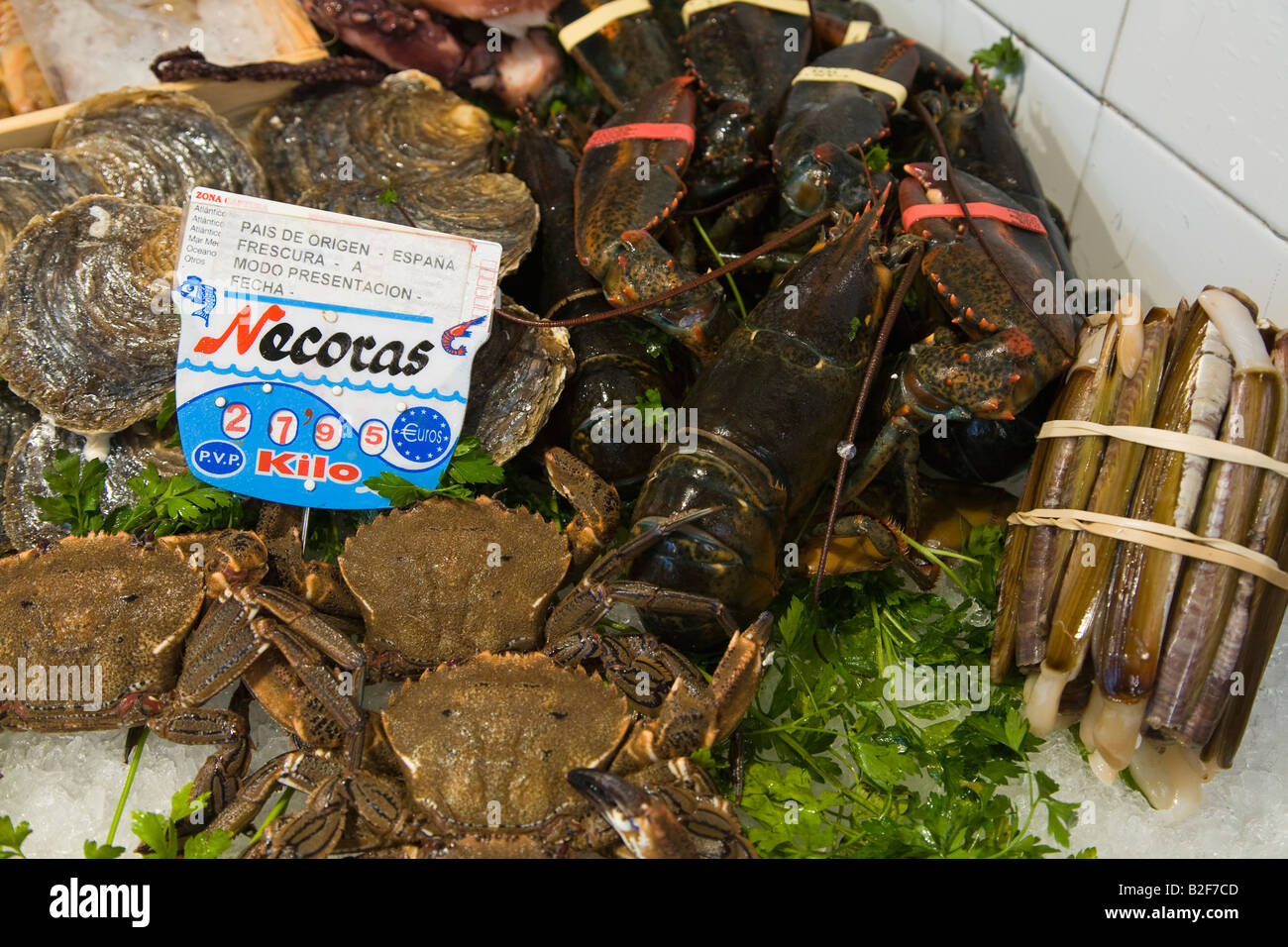 SPAIN Salamanca Lobster crab and oysters displayed at seafood booth in