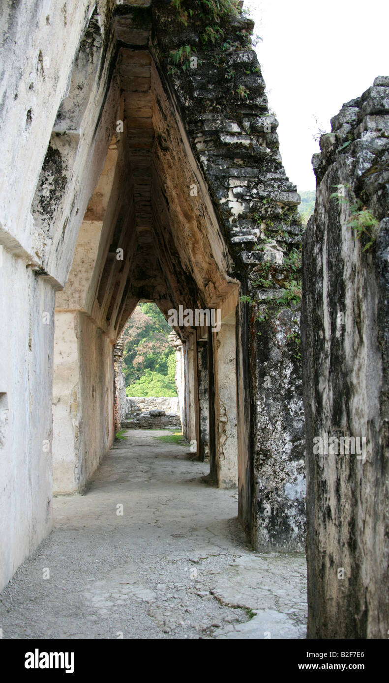 The Palace, Palenque Archeological Site, Chiapas State, Mexico Stock Photo