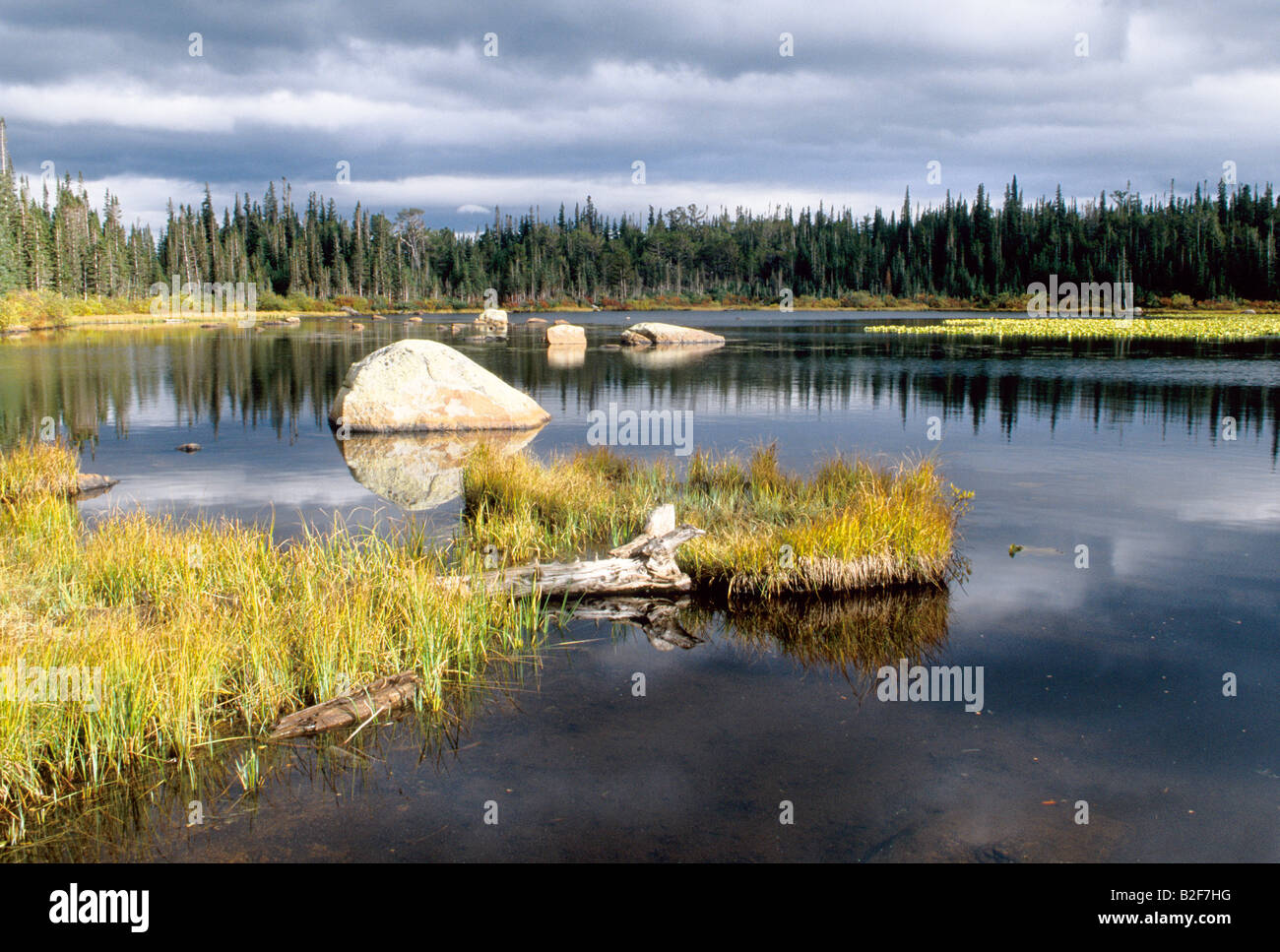Red Rock Lake, Brainard Lake Recreation Area, Roosevelt National Forest, Colorado Stock Photo