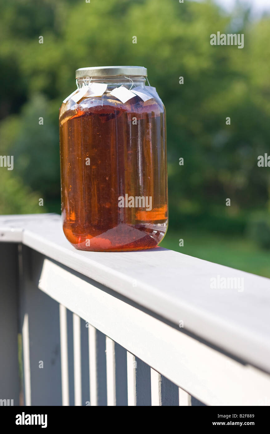 Sun Tea in a pickle jar brewing on a country porch Stock Photo