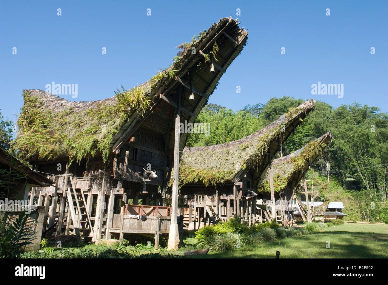 In Lemo, old traditional Torajan houses. Sulawesi-Indonesia. A Lemo, vieilles maisons traditionnelles Toraja. Sulawesi-Indonésie Stock Photo