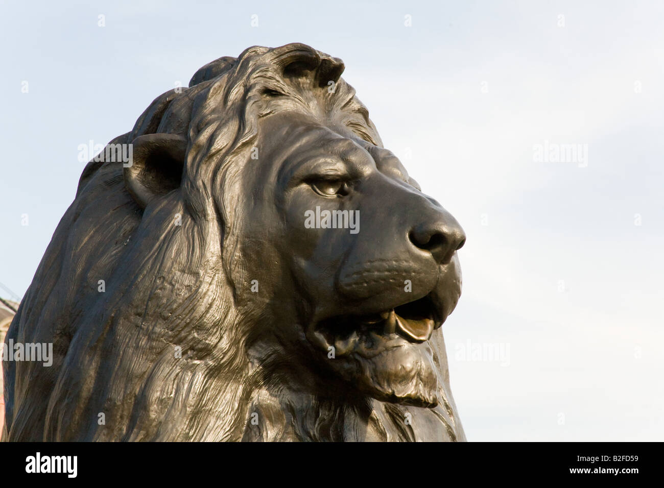 Bronze lions on Nelson Column Trafalgar Square London England Stock Photo