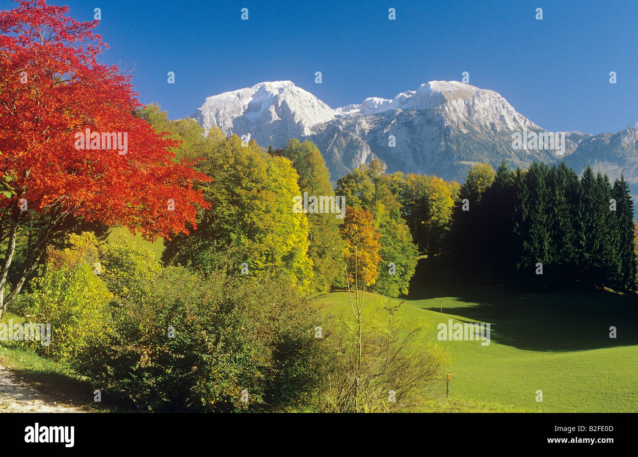 landscape : autumn Stock Photo - Alamy